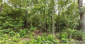 Cypress Church Road Cameron, NC 28326 - Photo 8 of 10