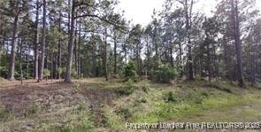 Cypress Church Road Cameron, NC 28326 - Photo 9 of 10