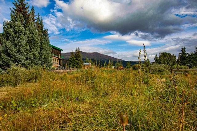 a view of a yard with wooden fence
