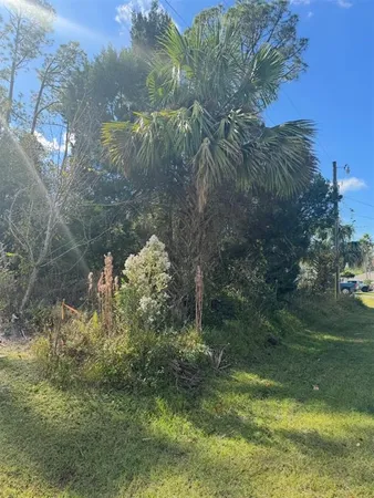a view of a garden