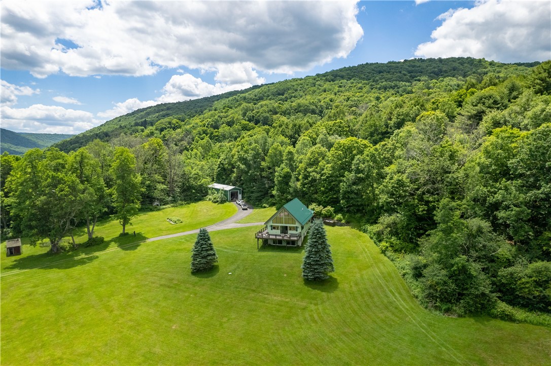 2393 East Brook Road Walton, NY 13856 - Photo 6 of 28