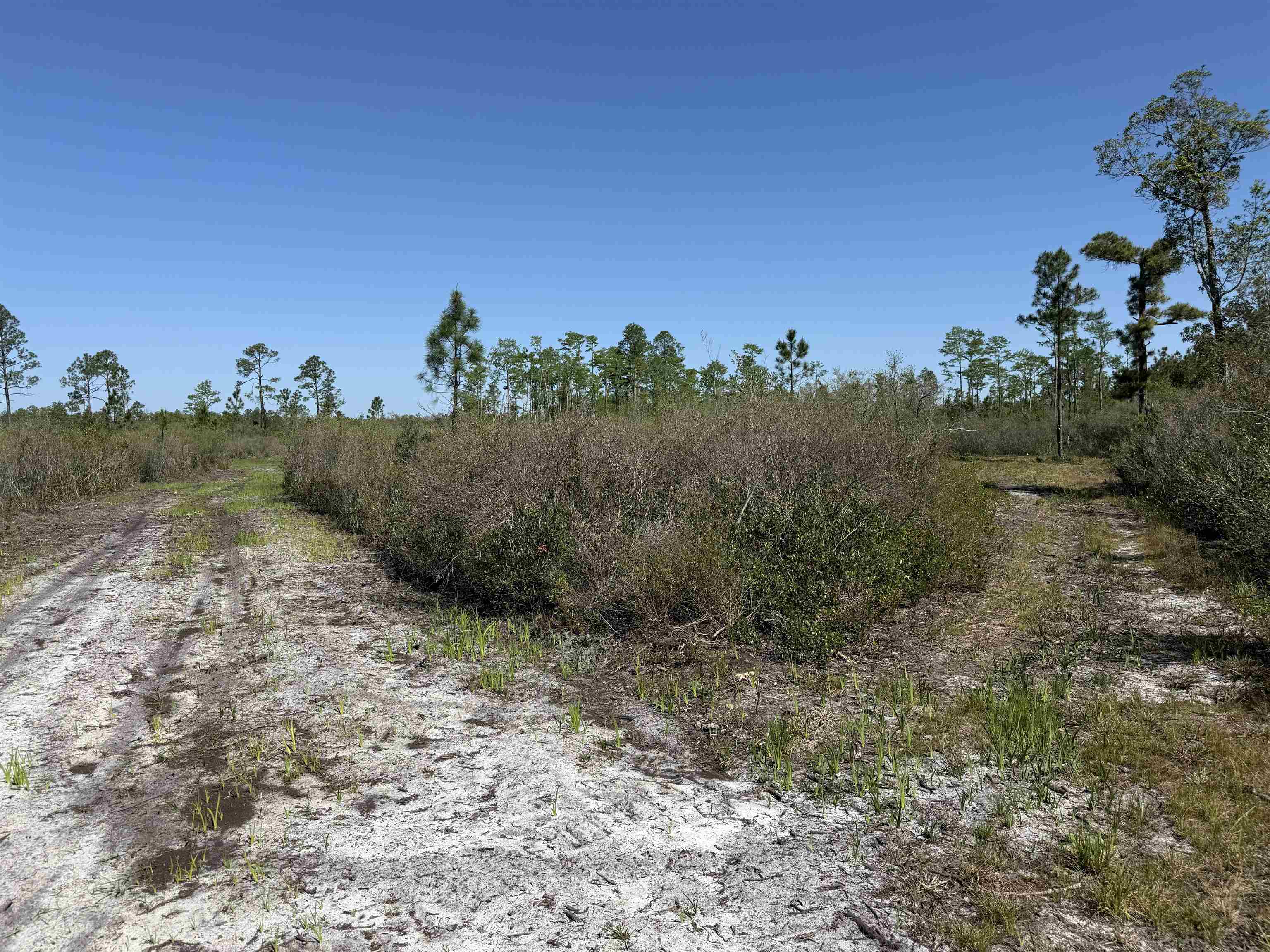 0 Madison Main Line Road Perry, FL 32347 - Photo 50 of 50