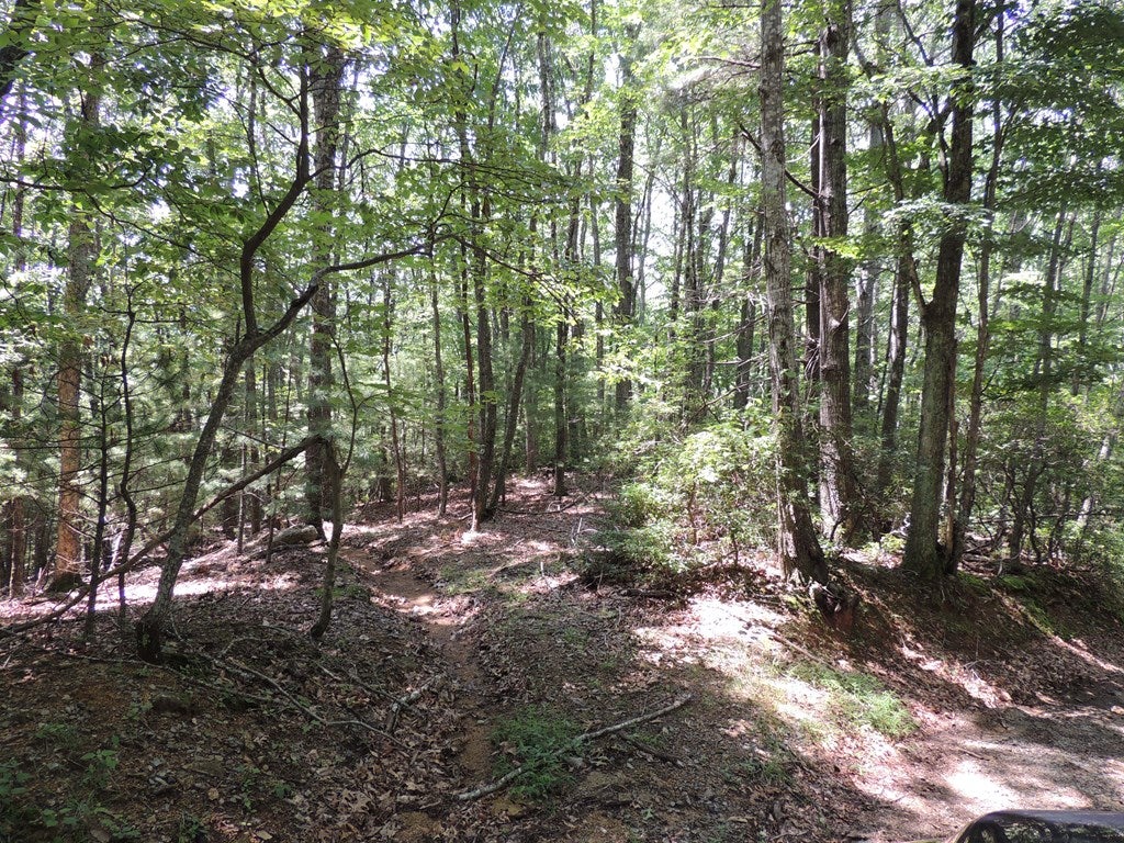 Tbd Peach Bottom Road Independence, VA 24348 - Photo 6 of 15 Gallery Image 6