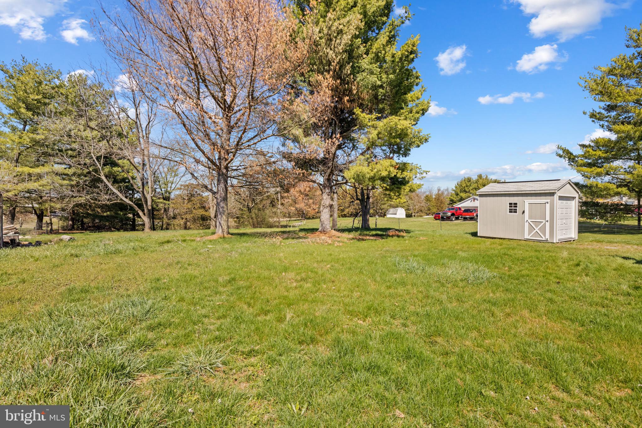 266 Ritter Road White Post, VA 22663 - Photo 4 of 30 Level yard w/ shed