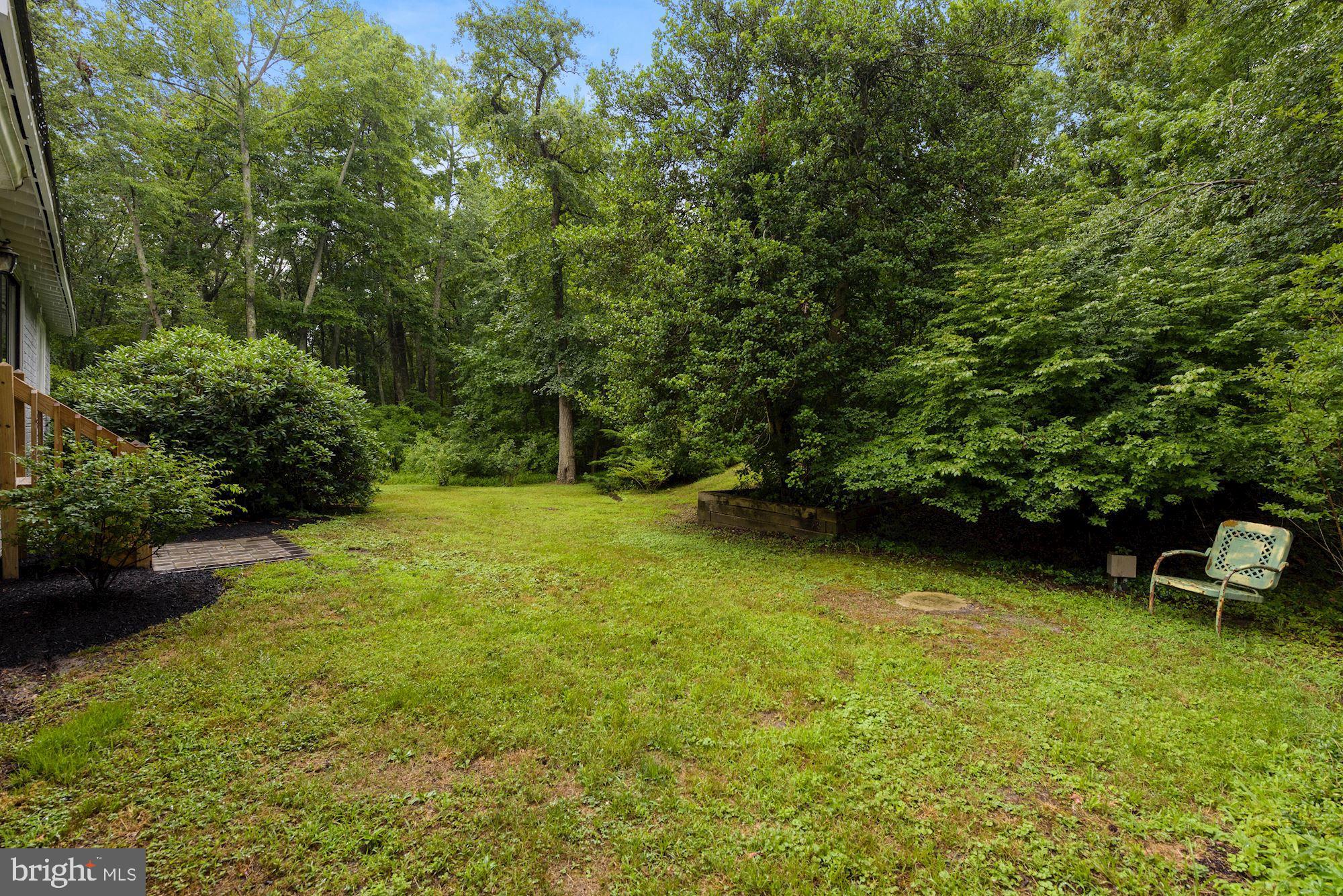 130 Tuckerton Road Medford, NJ 08055 - Photo 35 of 43 Partially cleared back yard