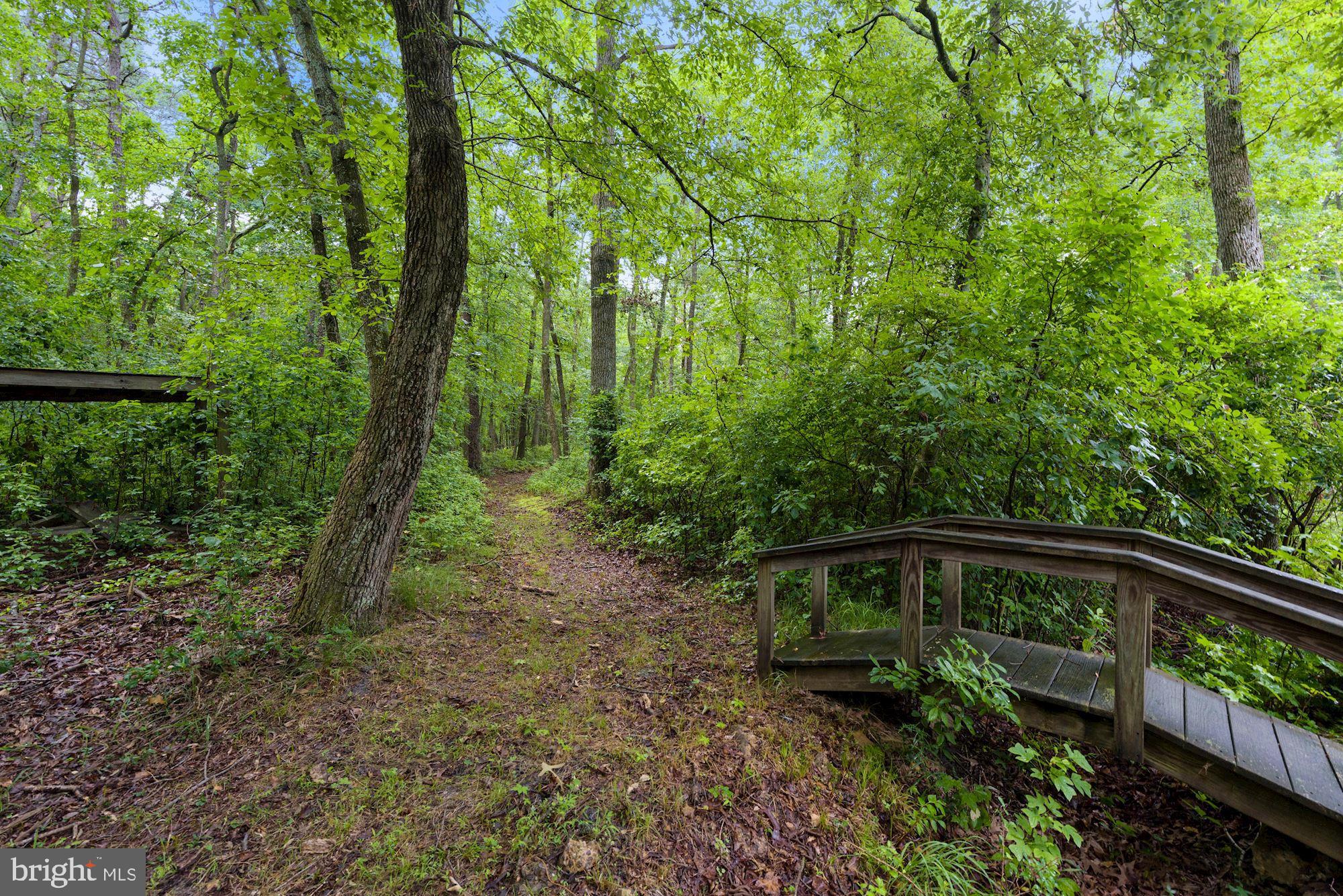 130 Tuckerton Road Medford, NJ 08055 - Photo 37 of 43 walking path