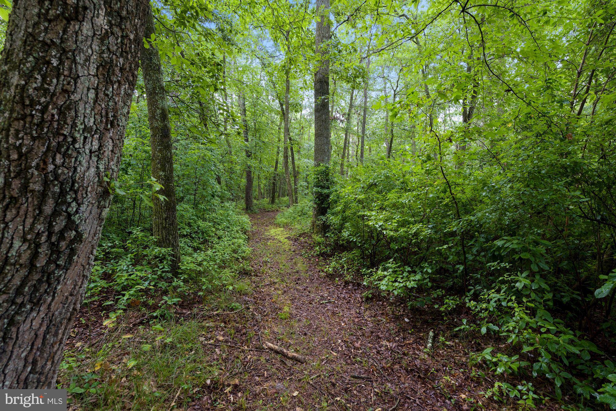 130 Tuckerton Road Medford, NJ 08055 - Photo 38 of 43 Walking Path