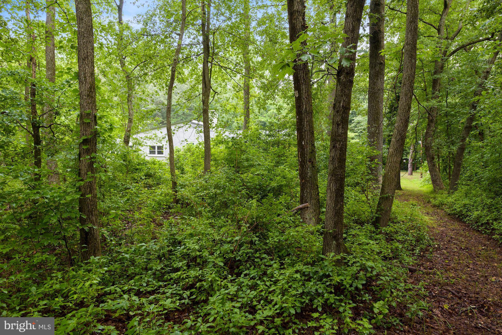 130 Tuckerton Road Medford, NJ 08055 - Photo 39 of 43 View from path back to house