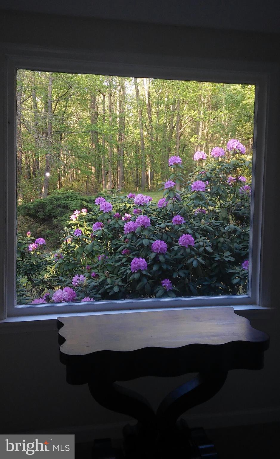 130 Tuckerton Road Medford, NJ 08055 - Photo 41 of 43 Gallery Image 41