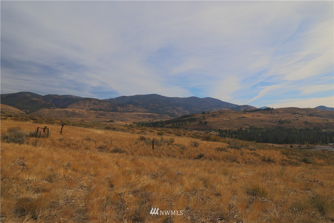 40 Blackbird Road Winthrop, WA 98862 - Photo 20 of 39 Gallery Image 20