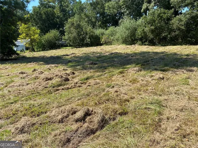 a view of a yard with a trees