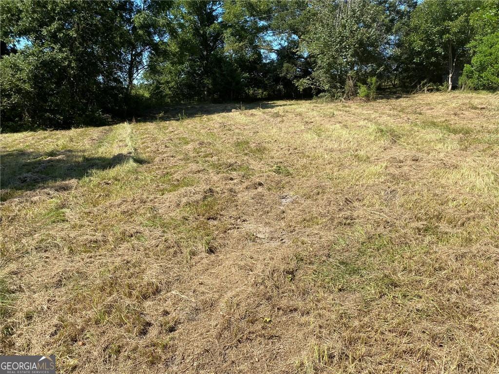 2363 Alvin Joiner Road Dublin, GA 31021 - Photo 5 of 29