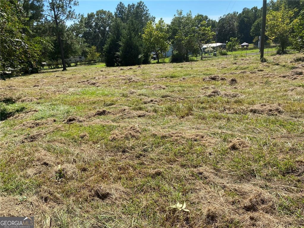 2363 Alvin Joiner Road Dublin, GA 31021 - Photo 7 of 29