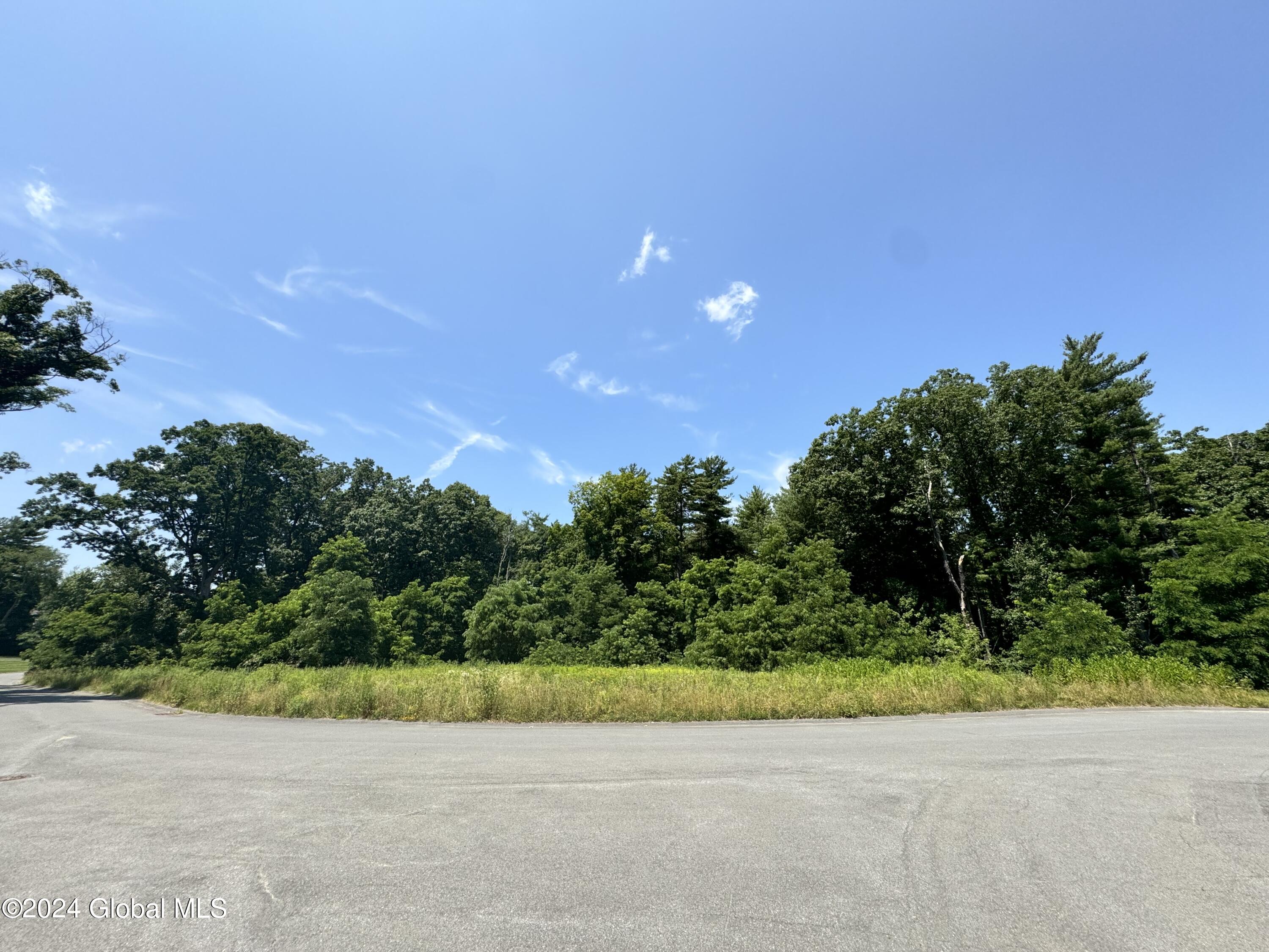 4 Takken Kill Road Colonie, NY 12110 - Photo 6 of 6 2