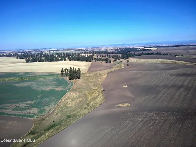 $599,000 | Nna Nna Laufers Road, Craigmont, ID 83523