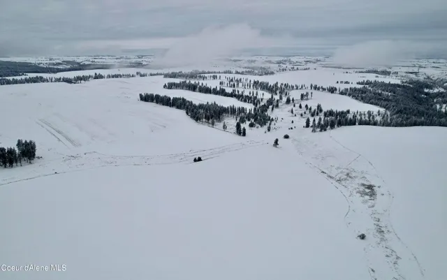 $599,000 | Nna Nna Laufers Road, Craigmont, ID 83523