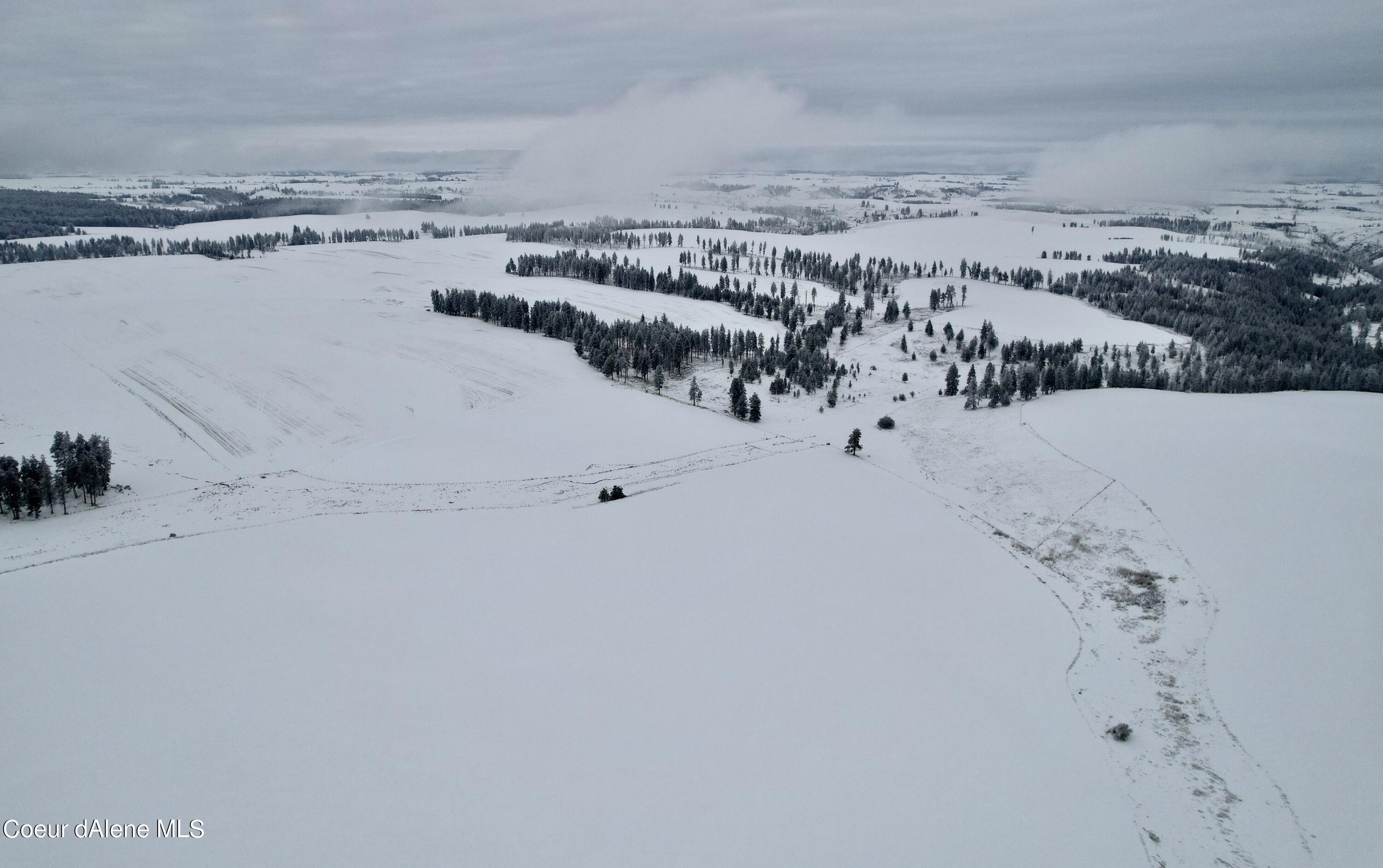 Nna Nna Laufers Road Craigmont, ID 83523 - Photo 11 of 19 Lewis County 40 #9