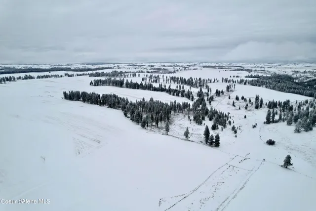 $599,000 | Nna Nna Laufers Road, Craigmont, ID 83523