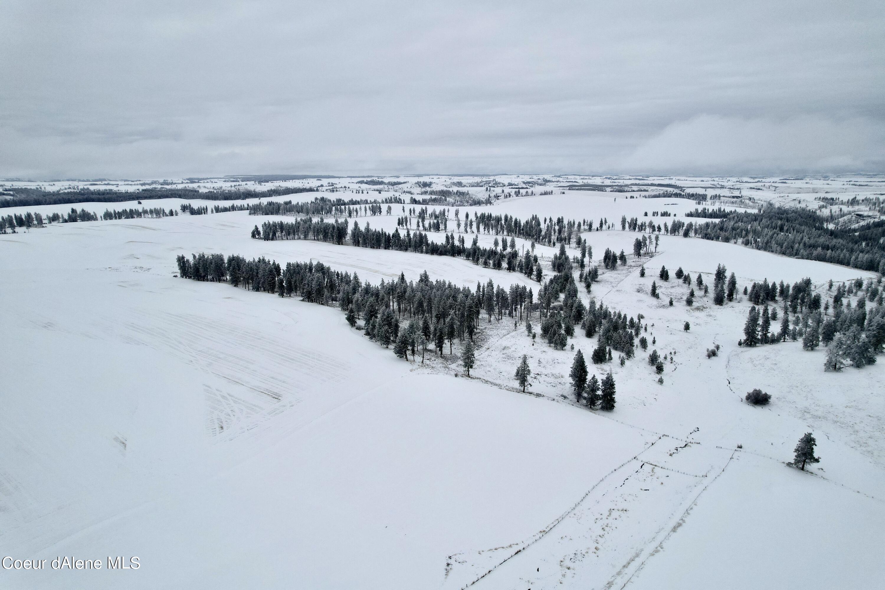 Nna Nna Laufers Road Craigmont, ID 83523 - Photo 12 of 19 Lewis County 40 #10