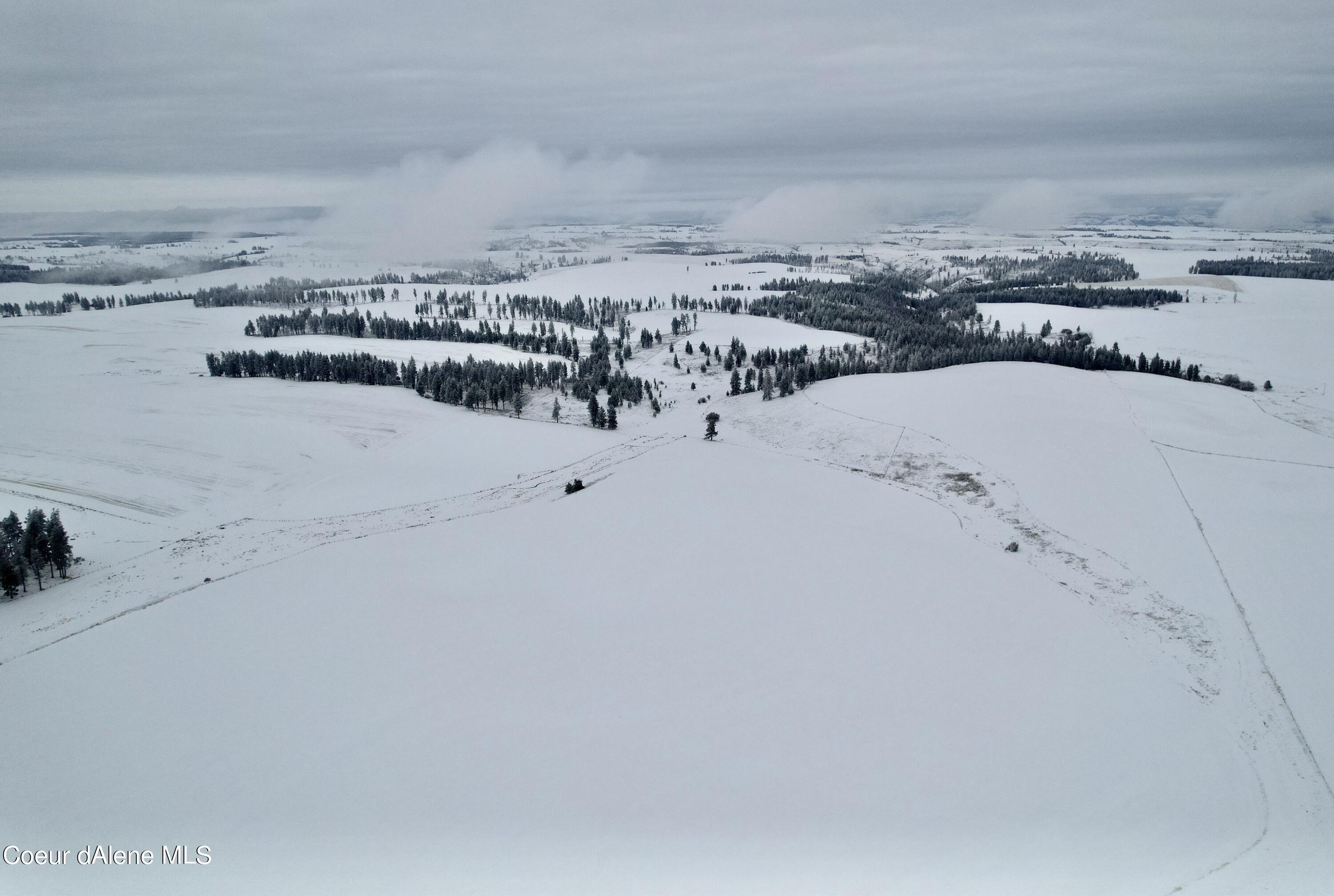 Nna Nna Laufers Road Craigmont, ID 83523 - Photo 13 of 19 Lewis County 40 #11