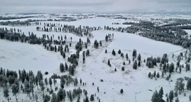 $599,000 | Nna Nna Laufers Road, Craigmont, ID 83523