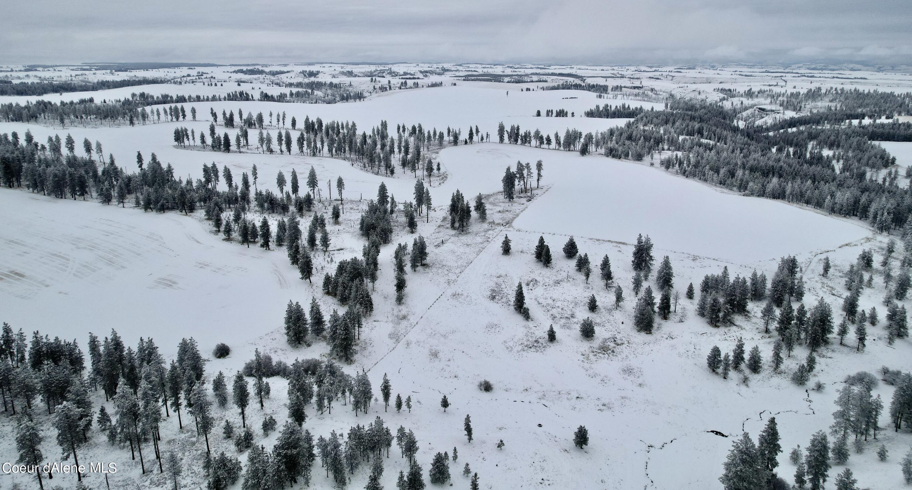 Nna Nna Laufers Road Craigmont, ID 83523 - Photo 14 of 19 Lewis County 40 #12