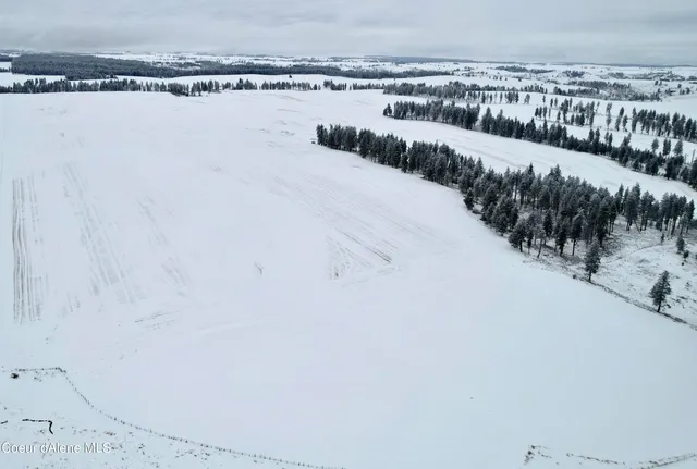 $599,000 | Nna Nna Laufers Road, Craigmont, ID 83523