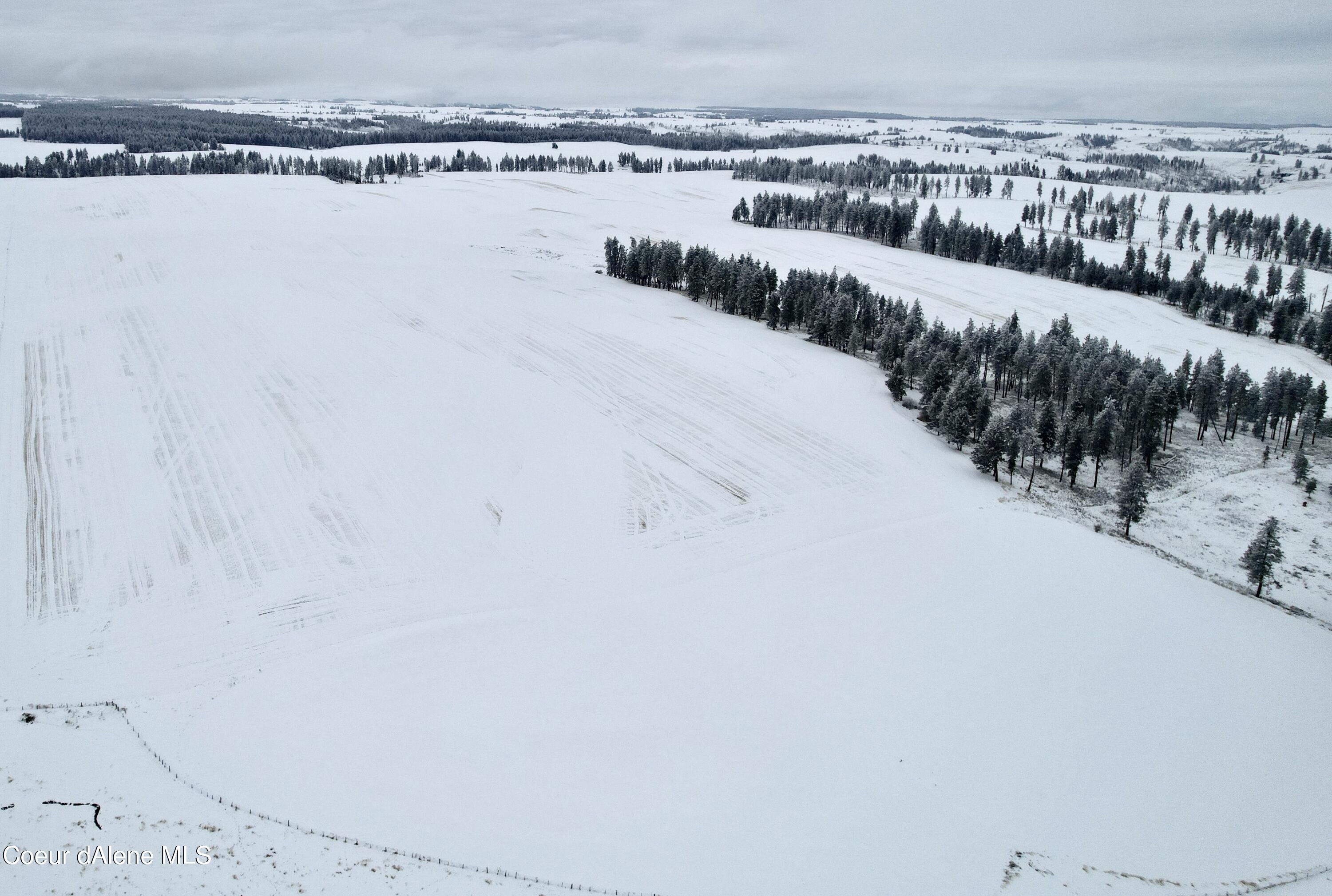 Nna Nna Laufers Road Craigmont, ID 83523 - Photo 15 of 19 Lewis county 40 #13