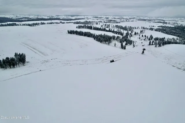 $599,000 | Nna Nna Laufers Road, Craigmont, ID 83523