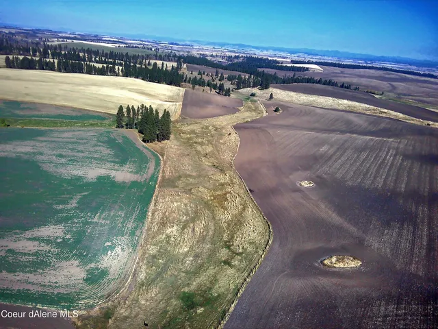 $599,000 | Nna Nna Laufers Road, Craigmont, ID 83523