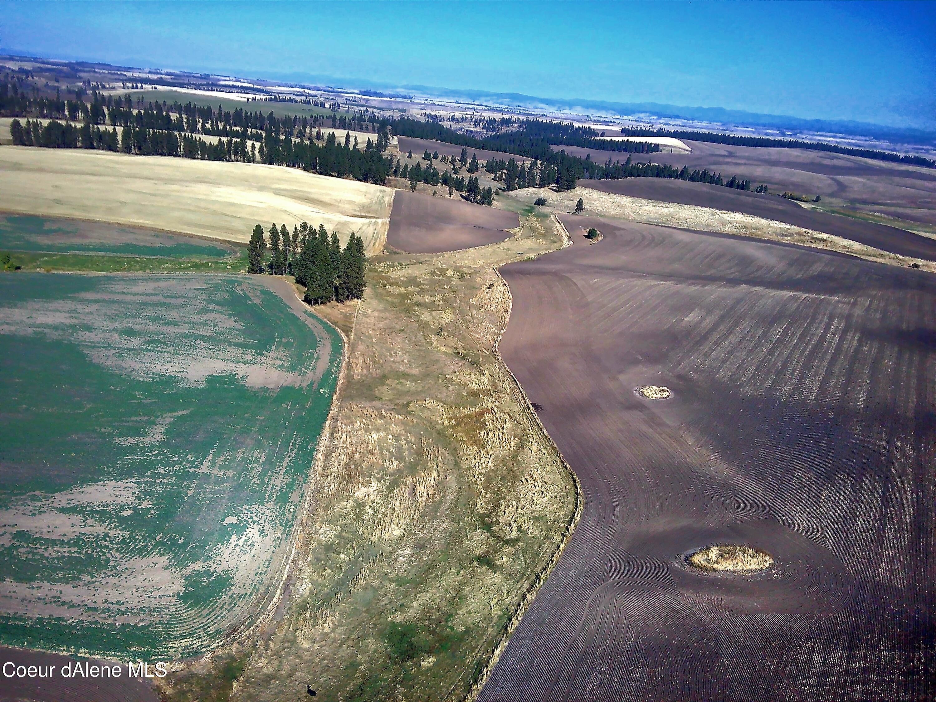 Nna Nna Laufers Road Craigmont, ID 83523 - Photo 17 of 19 Vacant Land Now 40 #3