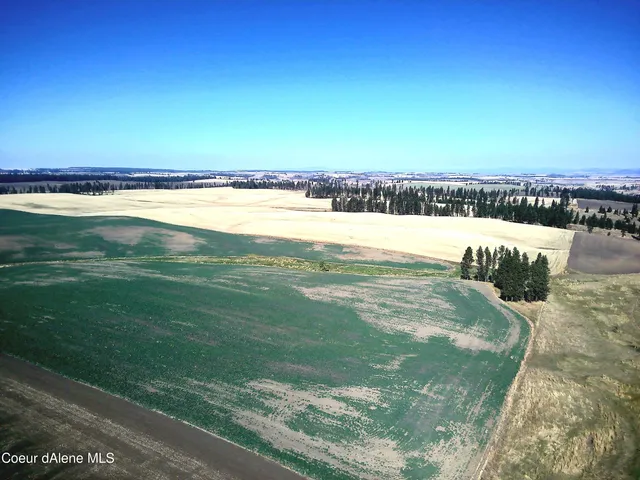 $599,000 | Nna Nna Laufers Road, Craigmont, ID 83523