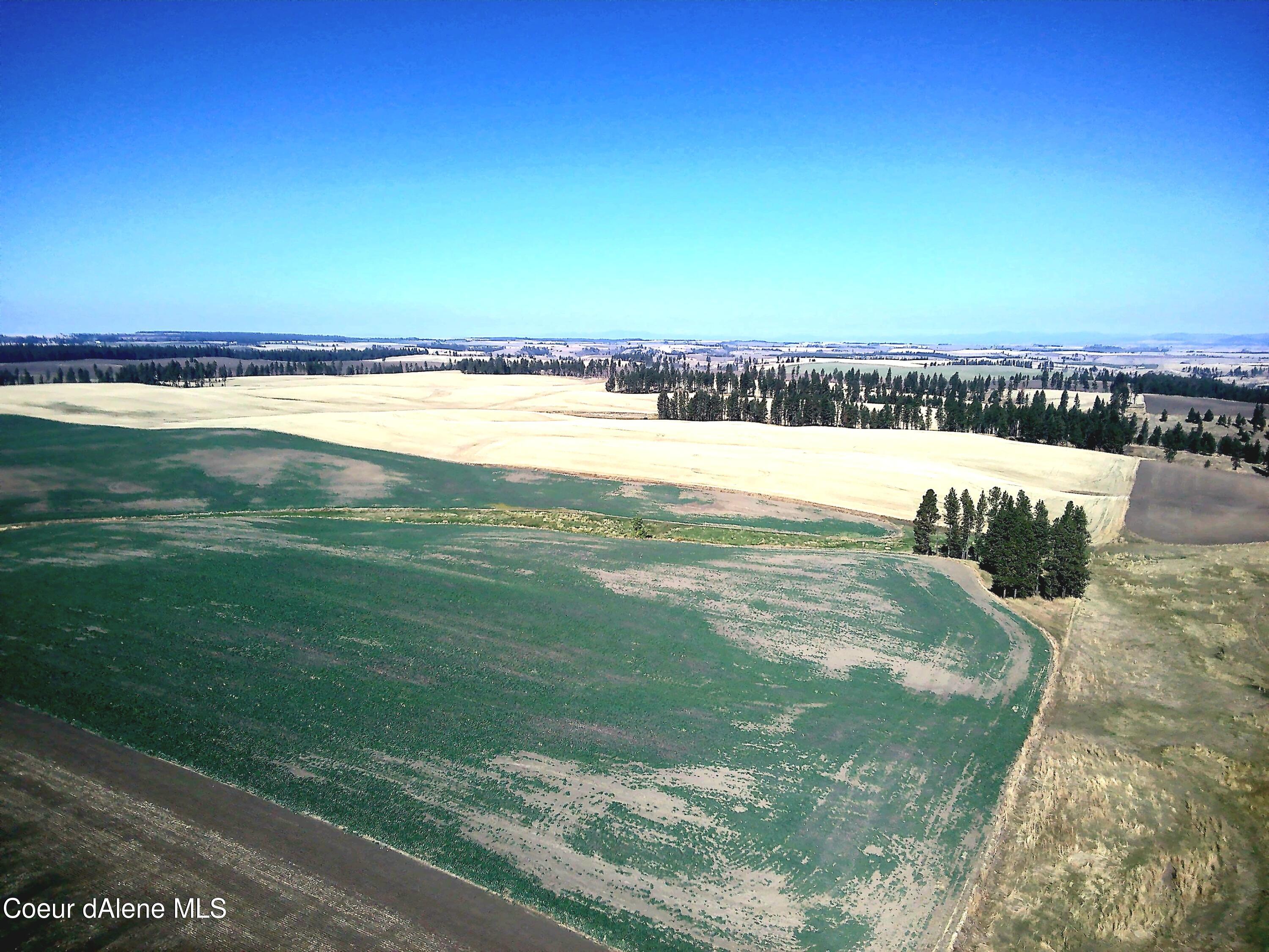 Nna Nna Laufers Road Craigmont, ID 83523 - Photo 18 of 19 Vacant Land Now 40 #5