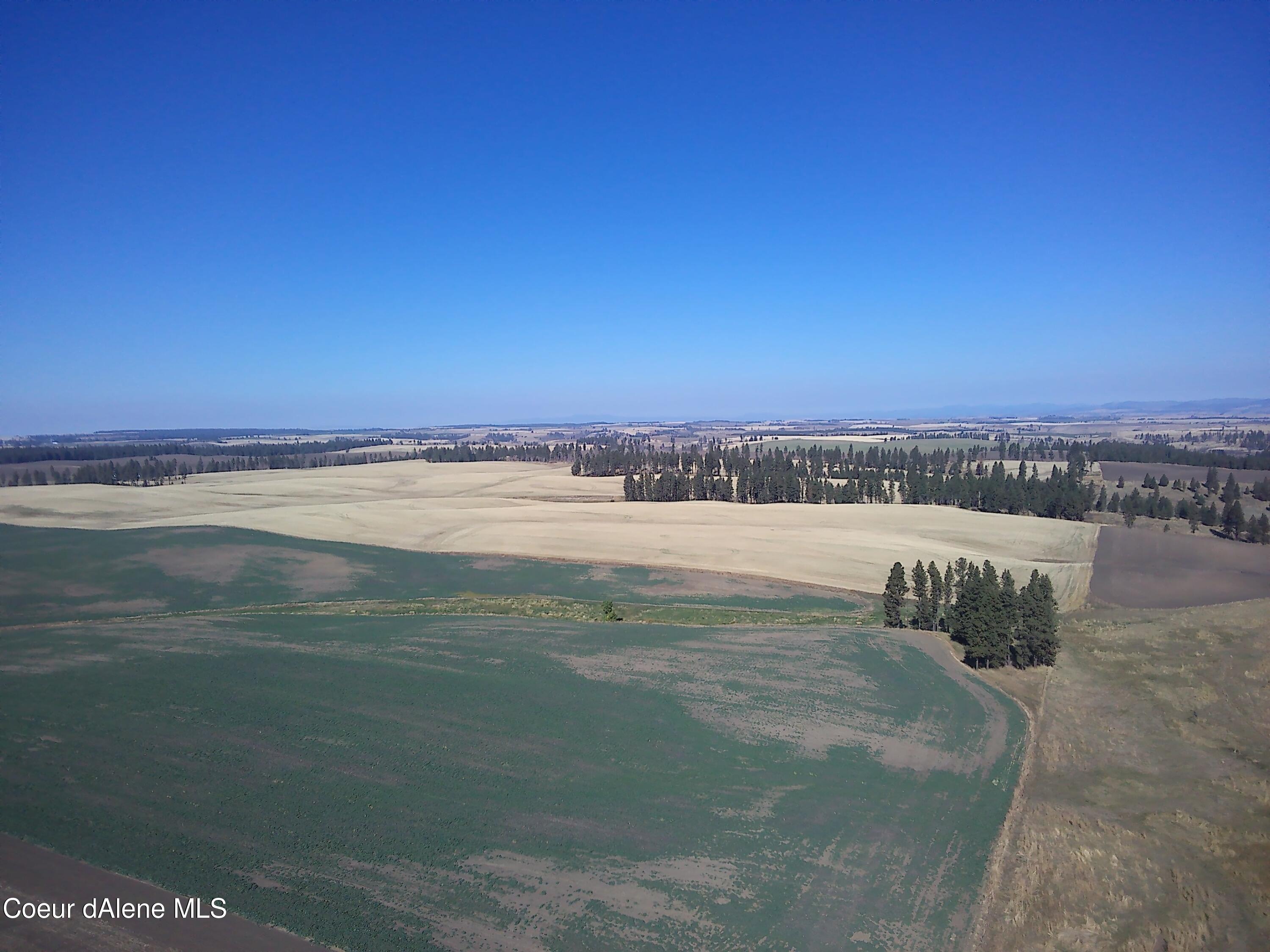 Nna Nna Laufers Road Craigmont, ID 83523 - Photo 19 of 19 Vacant Land Now 40 #7