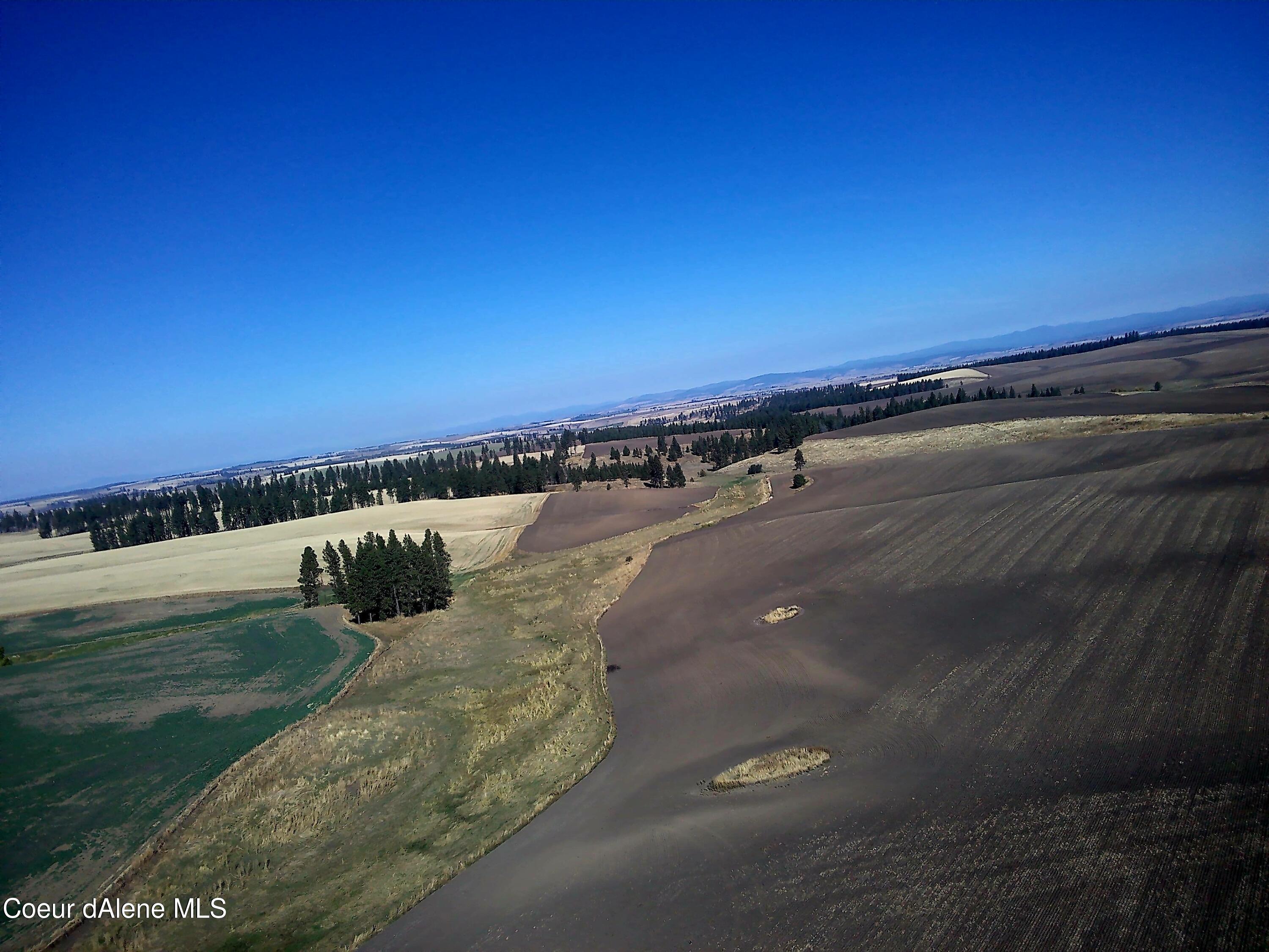 Nna Nna Laufers Road Craigmont, ID 83523 - Photo 2 of 19 Vacant Land Now 40 #2