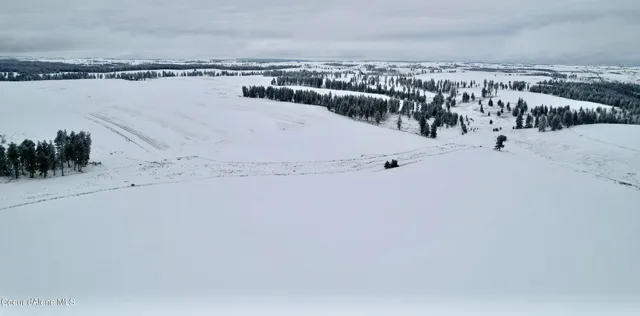 $599,000 | Nna Nna Laufers Road, Craigmont, ID 83523