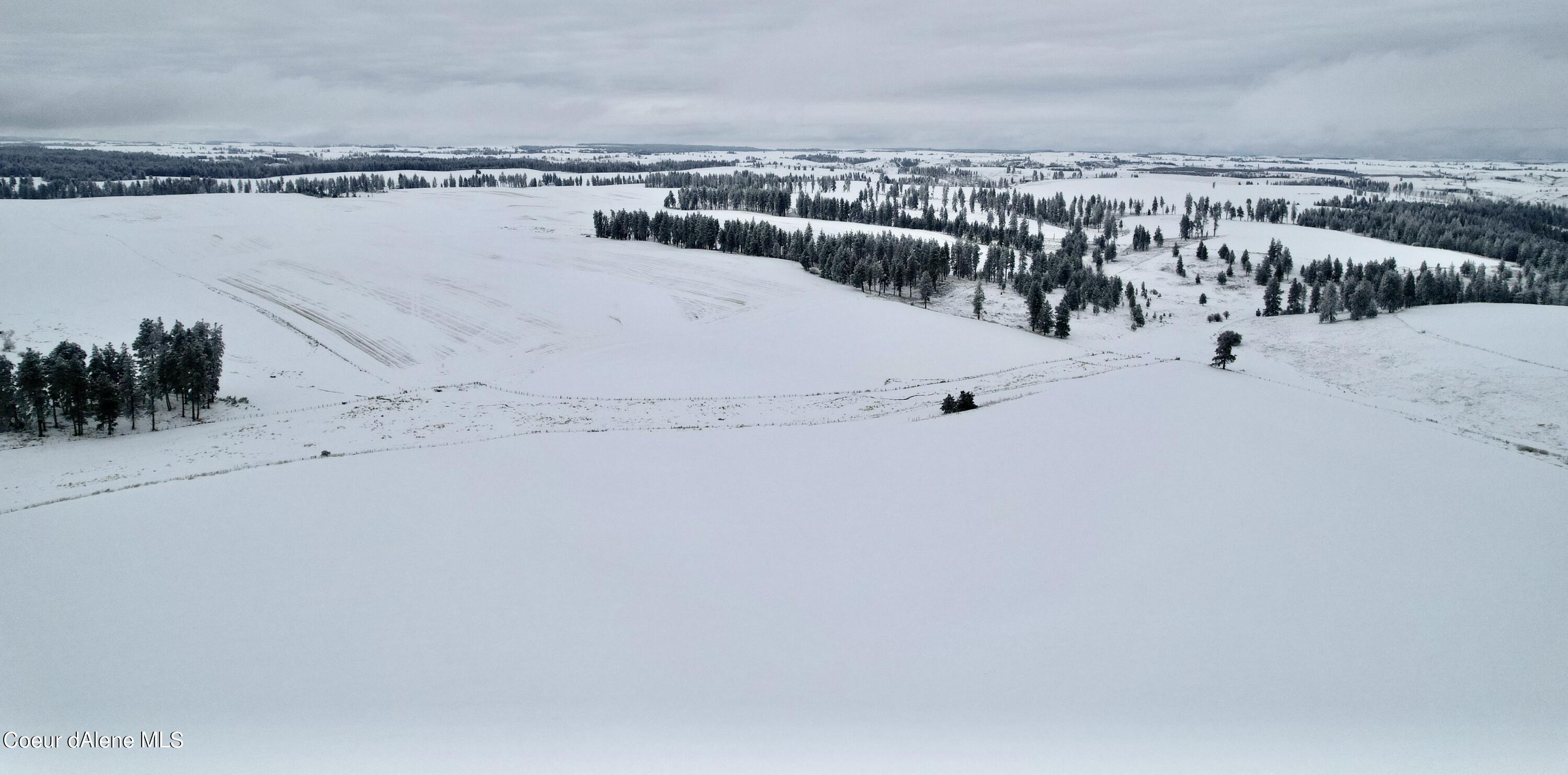 Nna Nna Laufers Road Craigmont, ID 83523 - Photo 3 of 19 Lewis County 40