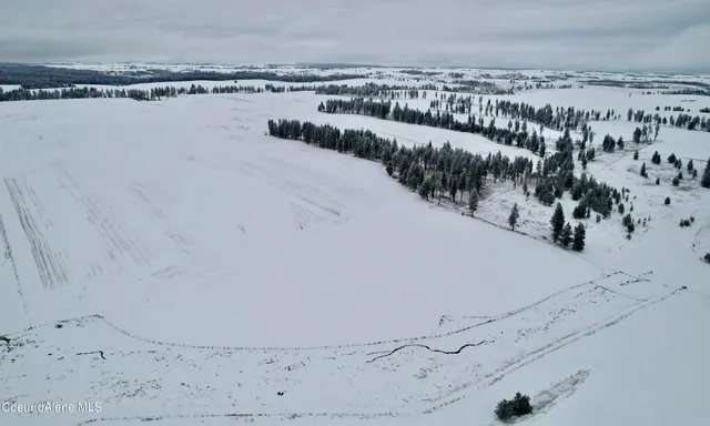 $599,000 | Nna Nna Laufers Road, Craigmont, ID 83523