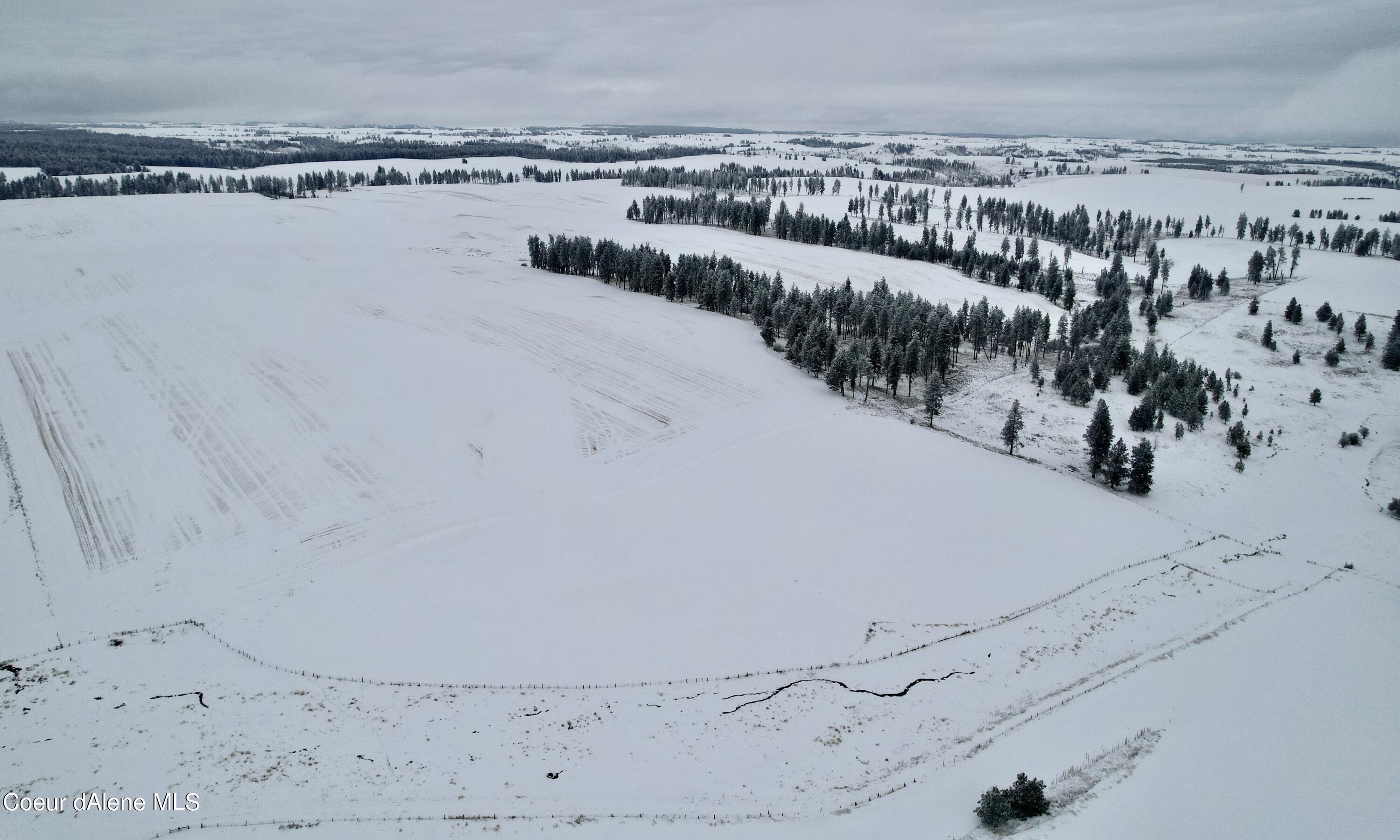 Nna Nna Laufers Road Craigmont, ID 83523 - Photo 4 of 19 Lewis County 40 #2