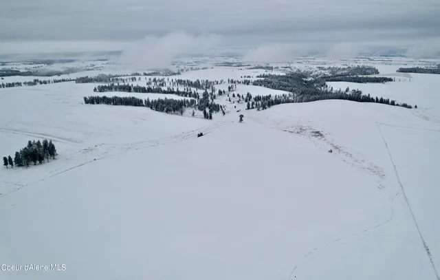 $599,000 | Nna Nna Laufers Road, Craigmont, ID 83523