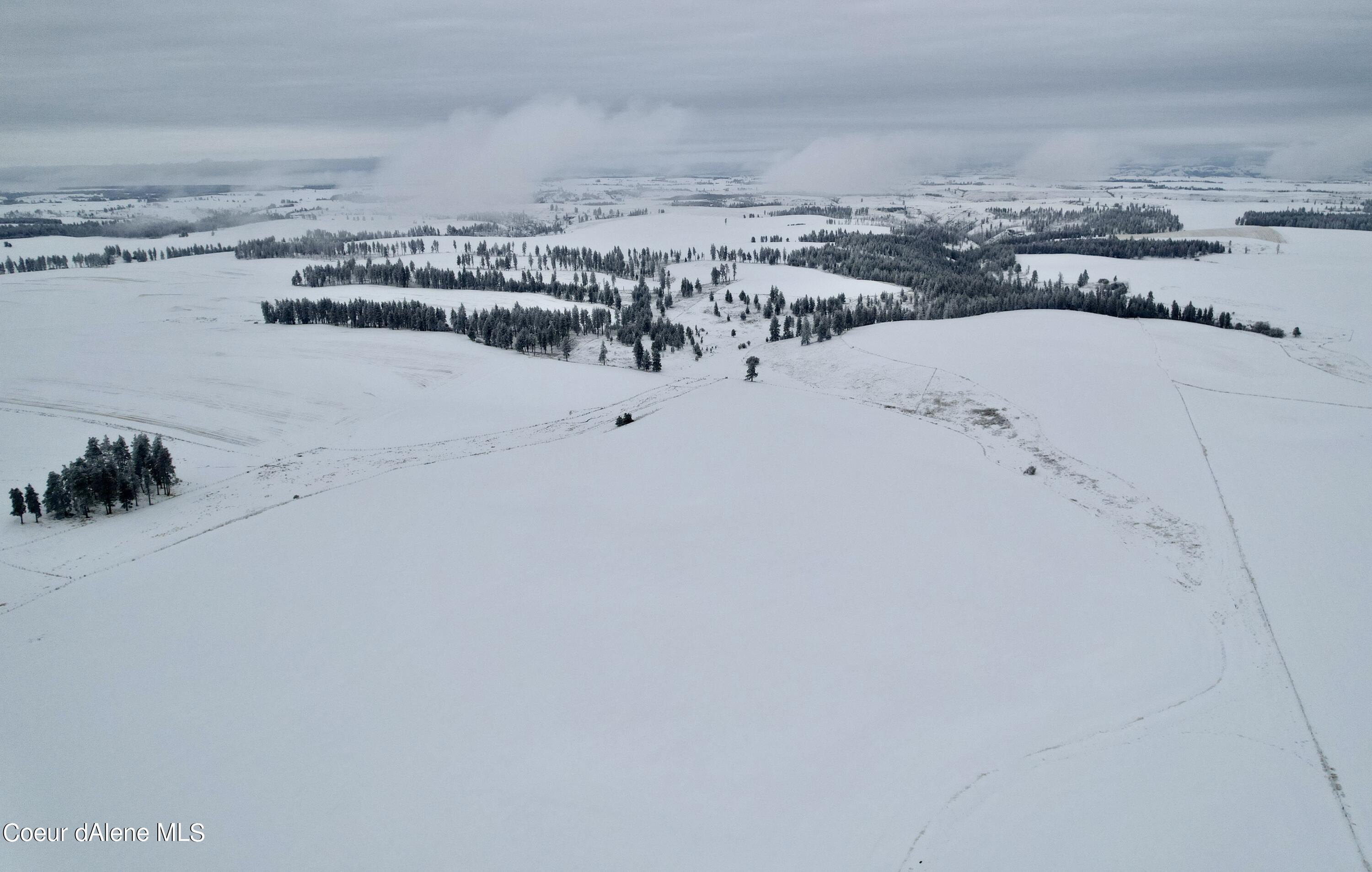 Nna Nna Laufers Road Craigmont, ID 83523 - Photo 5 of 19 Lewis County 40 #3