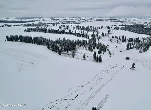 $599,000 | Nna Nna Laufers Road, Craigmont, ID 83523