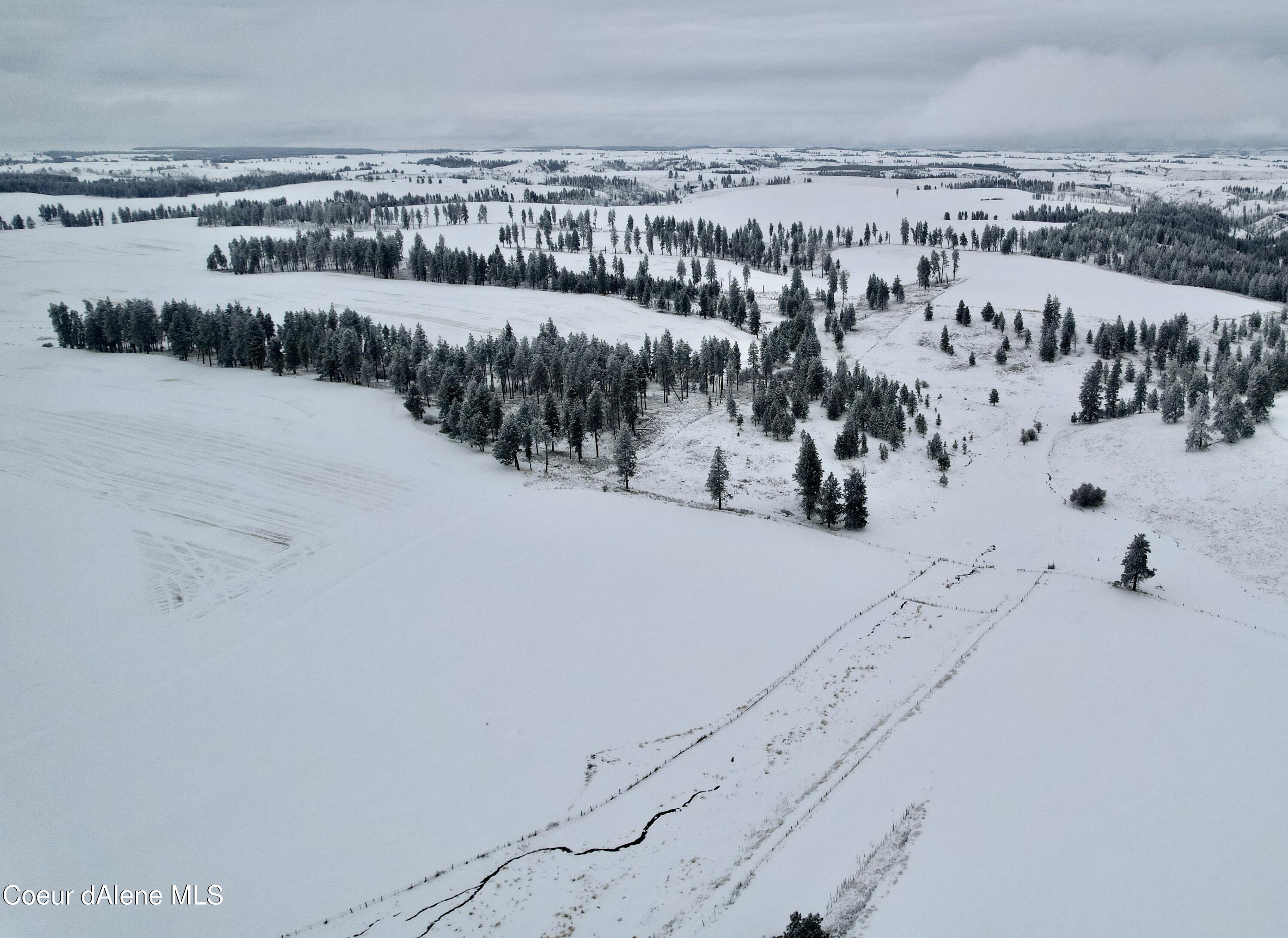 Nna Nna Laufers Road Craigmont, ID 83523 - Photo 9 of 19 Lewis County 40 #7