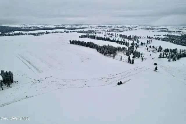 $599,000 | Nna Nna Laufers Road, Craigmont, ID 83523