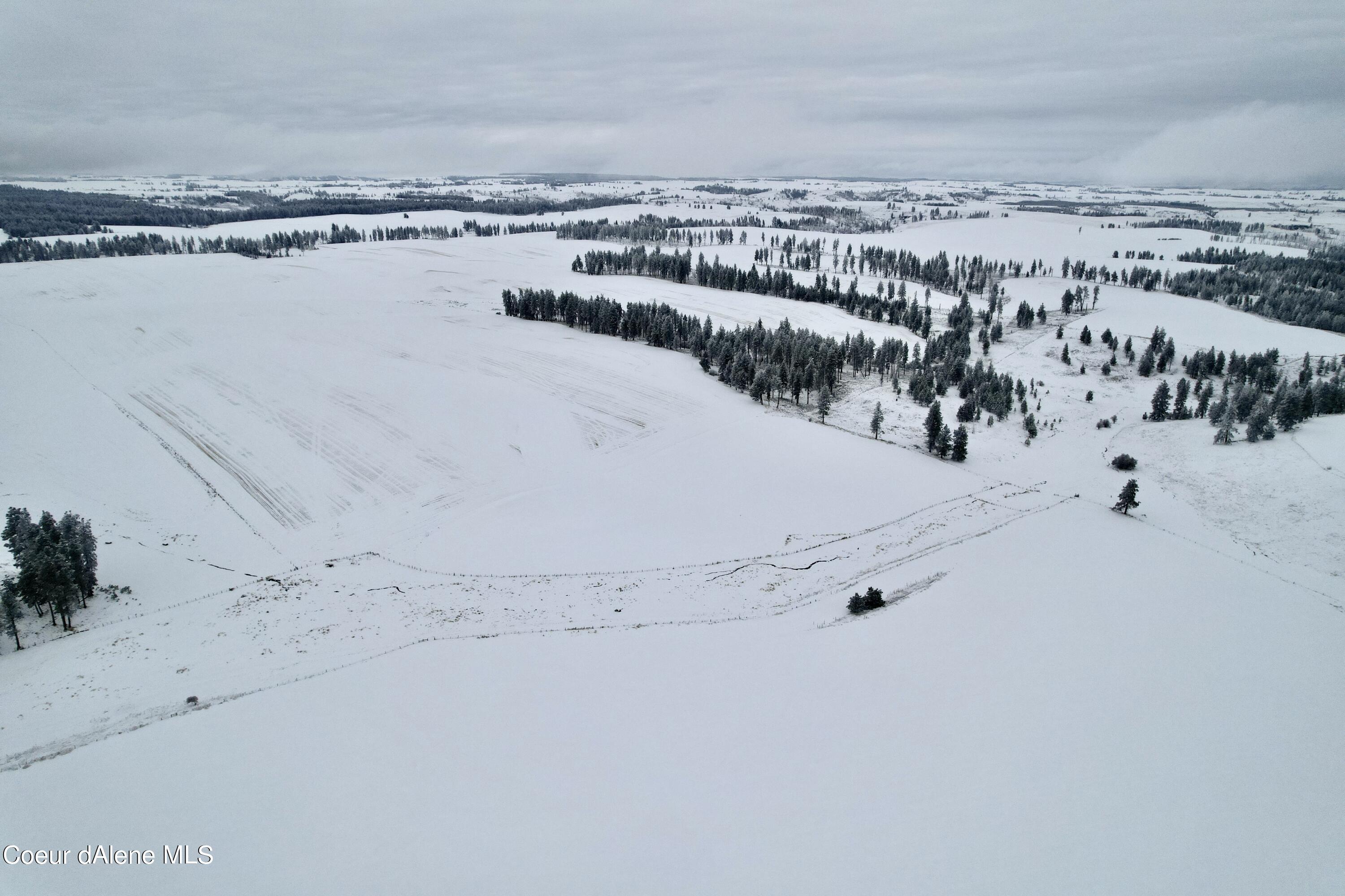 Nna Nna Laufers Road Craigmont, ID 83523 - Photo 10 of 19 Lewis County 40 #8