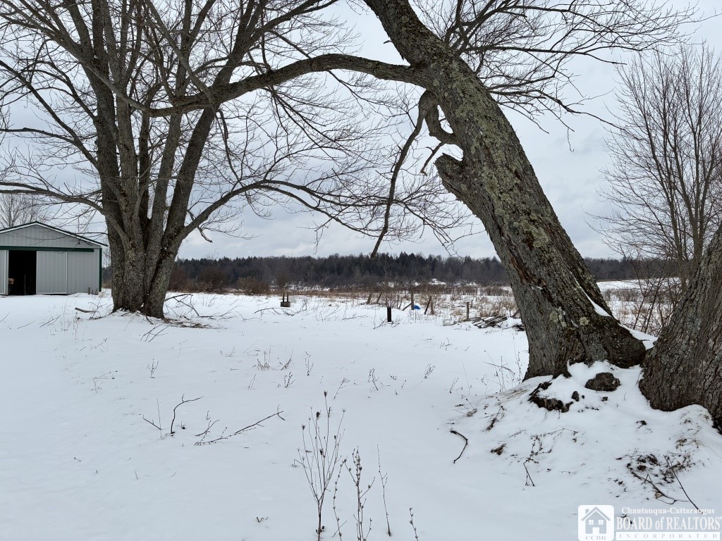 9719 Post Road Ripley, NY 14775 - Photo 18 of 19