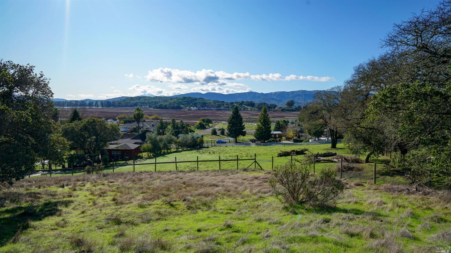 7 School Terrace Novato, CA 94945 - Photo 1 of 1 a view of park with a large trees