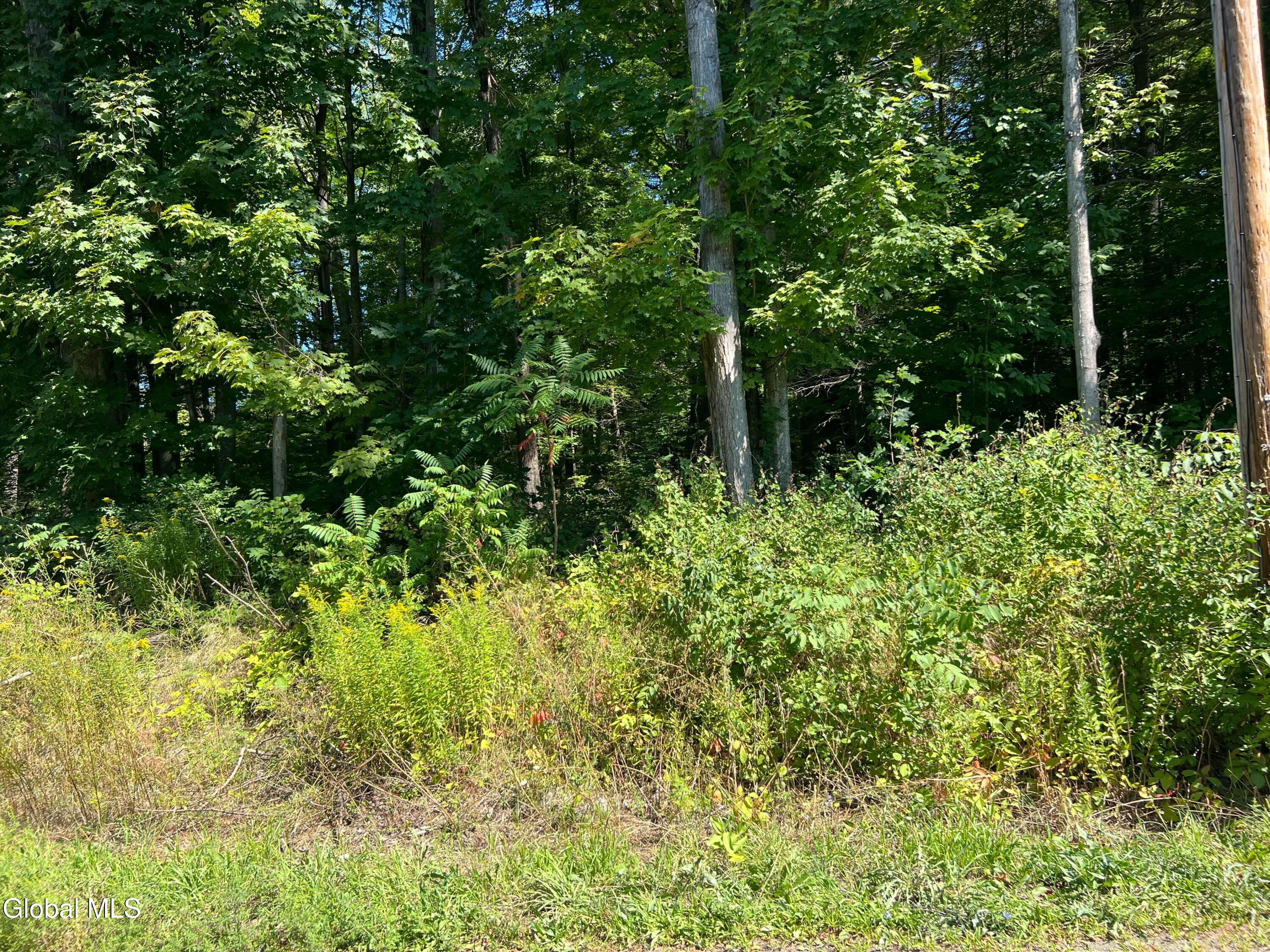 L3.2 Maple Street Broadalbin, NY 12025 - Photo 17 of 20 img_3031