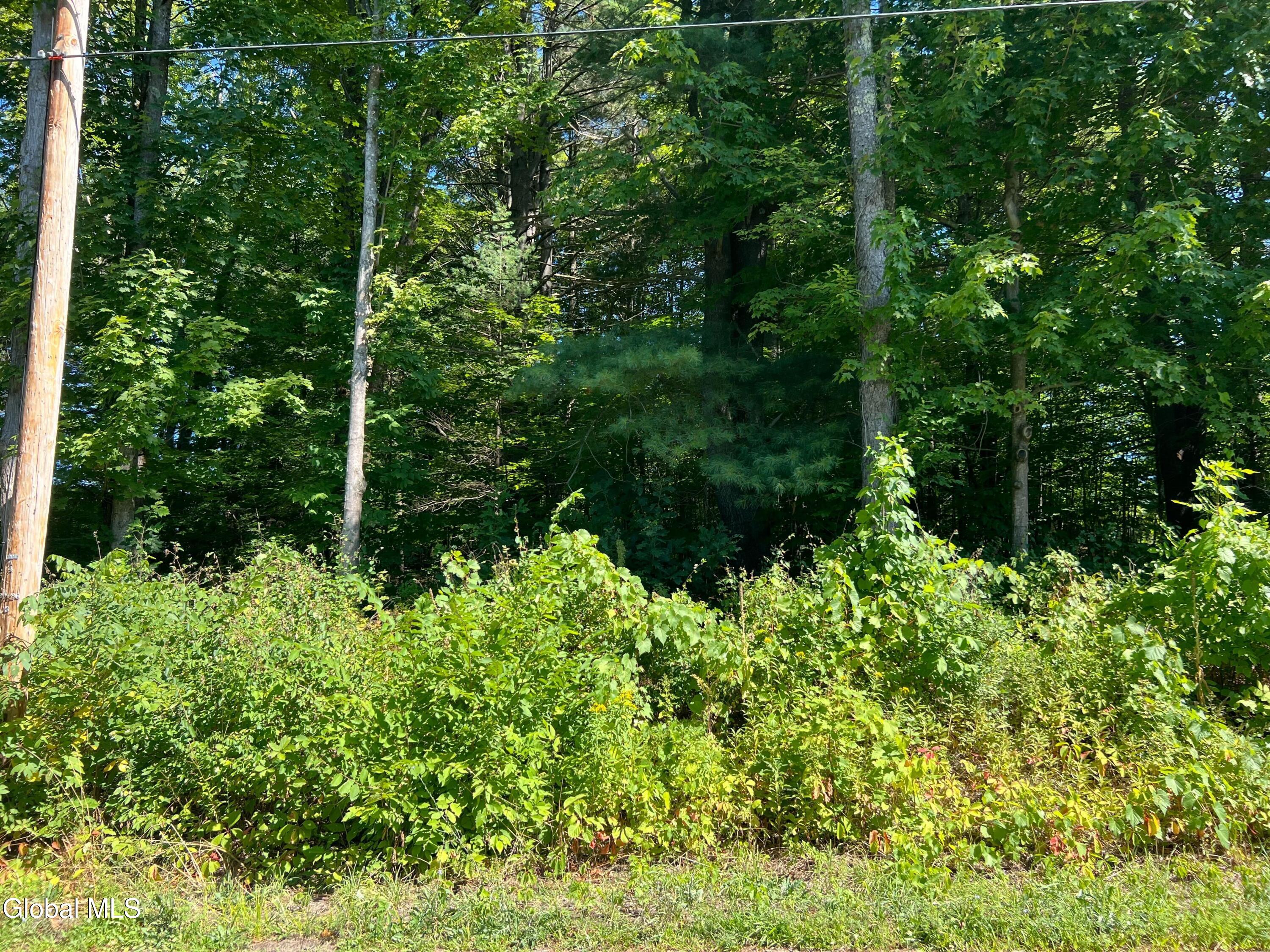 L3.2 Maple Street Broadalbin, NY 12025 - Photo 18 of 20 img_3032