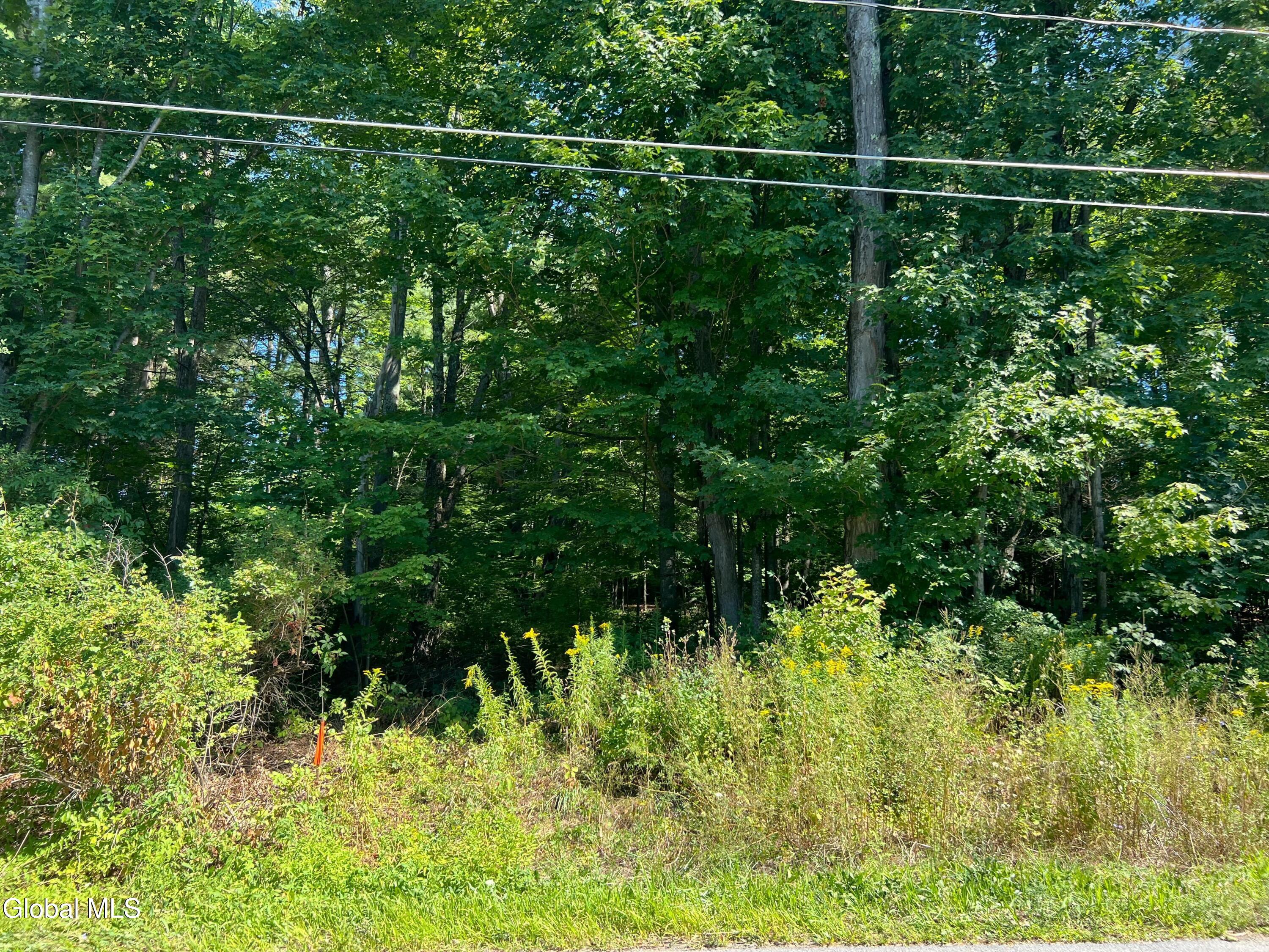 L3.2 Maple Street Broadalbin, NY 12025 - Photo 4 of 20 img_3030